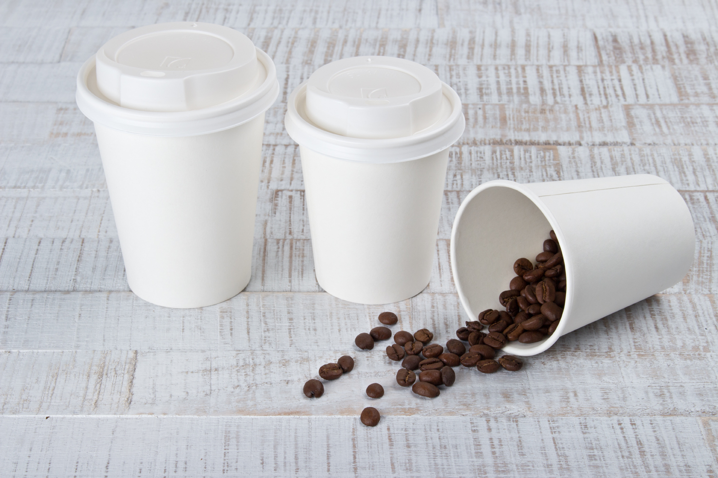 Taza de café y tapa Eco - 0,3 l